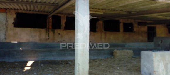 2 bedrooms House in Santarem, Portugal No. 97665 4