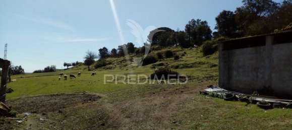 2 bedrooms House in Santarem, Portugal No. 97665 19