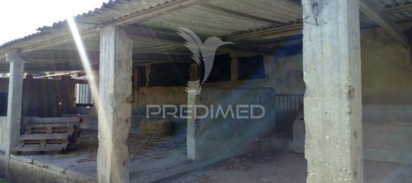 2 bedrooms House in Santarem, Portugal No. 97665 17