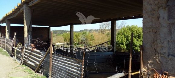 2 bedrooms House in Santarem, Portugal No. 97665 6