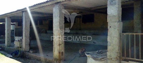 2 bedrooms House in Santarem, Portugal No. 97665 16