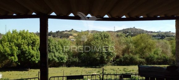 2 bedrooms House in Santarem, Portugal No. 97665 7