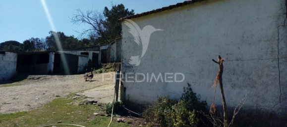 2 bedrooms House in Santarem, Portugal No. 97665 12