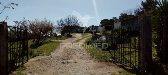 2 bedrooms House in Santarem, Portugal No. 97665 13