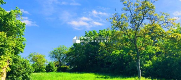 2278m² Land in Eisenstadt Umgebung, Austria No. 63889 3