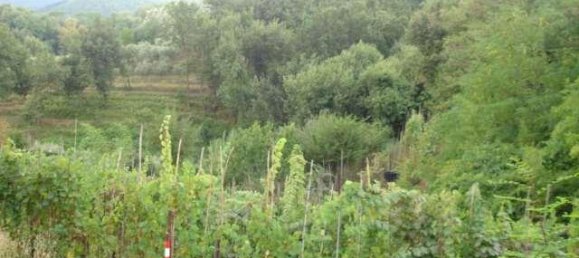 8 rooms House in Capannori, Italy No. 75585 3