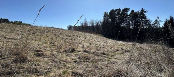 Grundstück in Unterkohlstätten, Austria, Nr. 237821 11