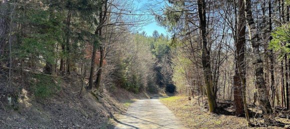 Grundstück in Unterkohlstätten, Austria, Nr. 237821 8