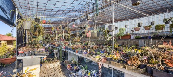 4 bedrooms House in Caniaba, Australia No. 1143 25