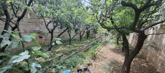 8-Zimmer Haus in Fasano, Italy, Nr. 41889 17