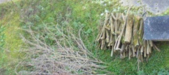 Villa de 5 habitaciónes en Carpinone, Italy No. 79537 10