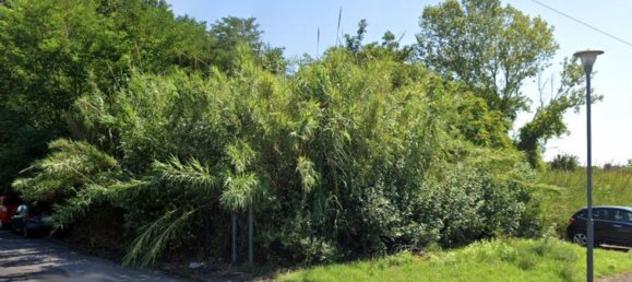 Земельный участок 18926м² в Форли, Италия № 278859 8