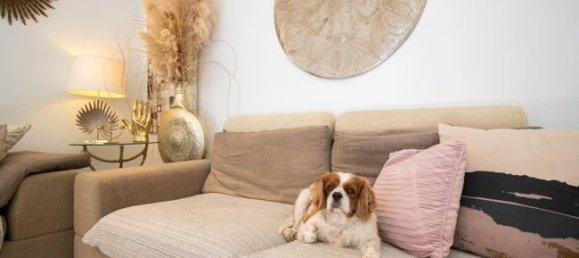 6 bedrooms Villa in Cascais, Portugal No. 51541 9