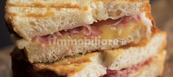 Propiedad comercial de 3 habitaciónes en Mantua, Italy No. 261917 10