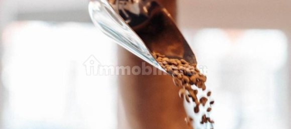 Propiedad comercial de 3 habitaciónes en Mantua, Italy No. 261917 4