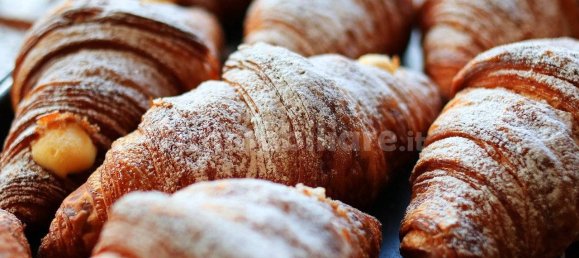 Propiedad comercial de 3 habitaciónes en Mantua, Italy No. 261917 6