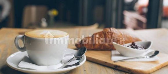 Propiedad comercial de 3 habitaciónes en Mantua, Italy No. 261917 7