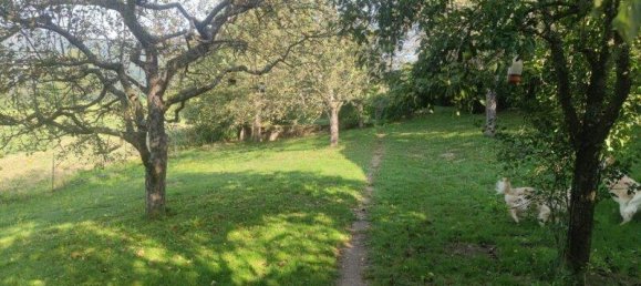  Land in Moosburg, Austria No. 13261 4