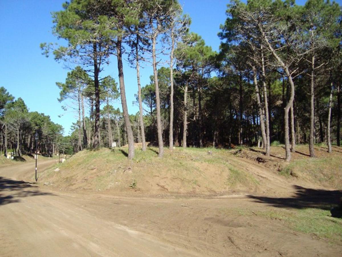  قطعة أرض في Mar del Plata, Argentina رقم 120874