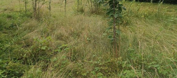  Land in Bad Tatzmannsdorf, Austria No. 145853 6