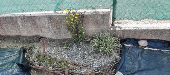 Terreno en La Rioja, Spain 200 m² No. 186207 4