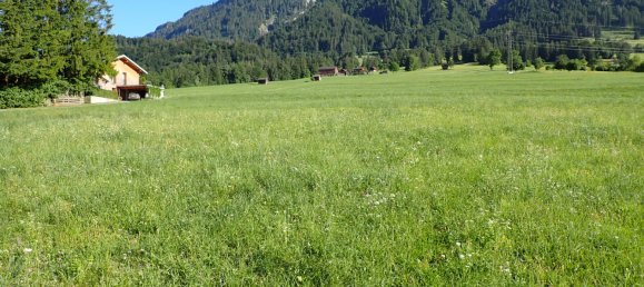  Land in Bludenz, Austria No. 153692 8