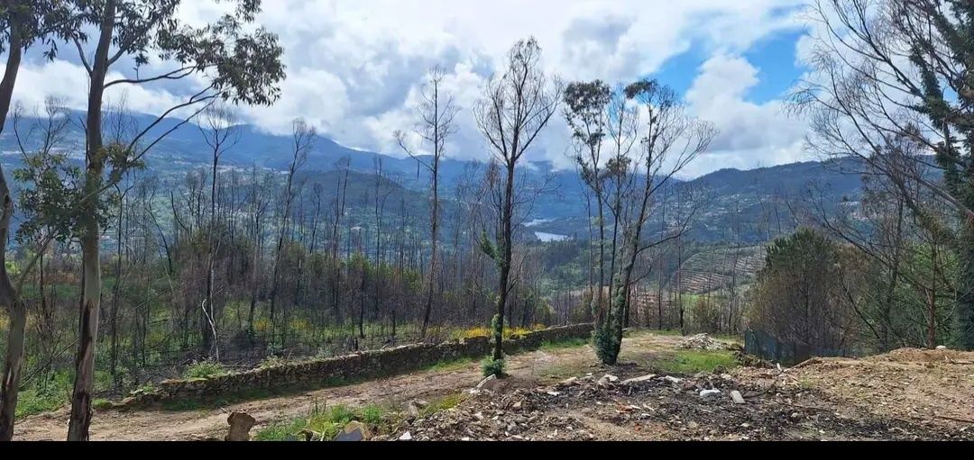  Land in Baiao, Portugal No. 260052