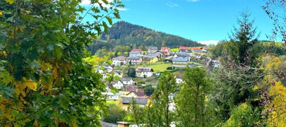 6-salle Maison à Zobern, Austria No. 124609 33