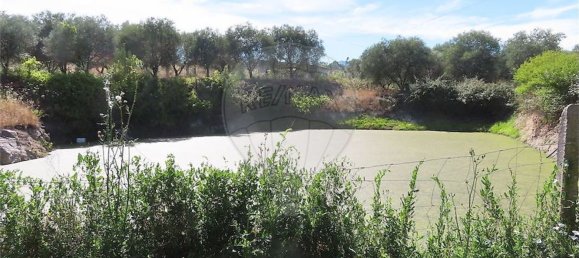 5 Schlafzimmer Haus in Fundao, Portugal, Nr. 76981 12