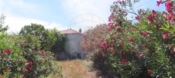 5 Schlafzimmer Haus in Fundao, Portugal, Nr. 76981 28