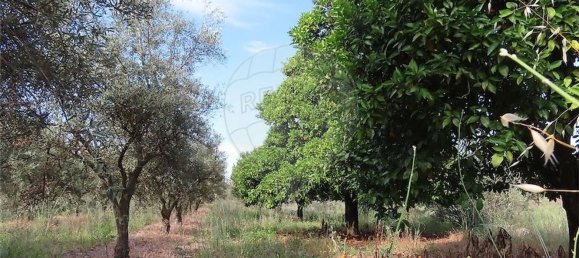 5 Schlafzimmer Haus in Fundao, Portugal, Nr. 76981 8