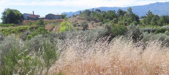 5 Schlafzimmer Haus in Fundao, Portugal, Nr. 76981 23