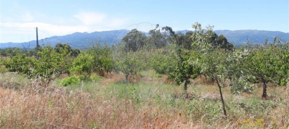 5 Schlafzimmer Haus in Fundao, Portugal, Nr. 76981 6