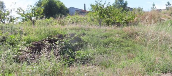 5 Schlafzimmer Haus in Fundao, Portugal, Nr. 76981 18