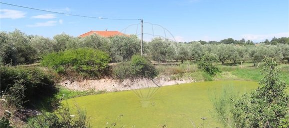 5 Schlafzimmer Haus in Fundao, Portugal, Nr. 76981 24