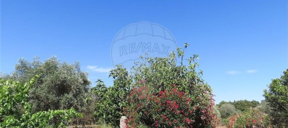 5 Schlafzimmer Haus in Fundao, Portugal, Nr. 76981 17