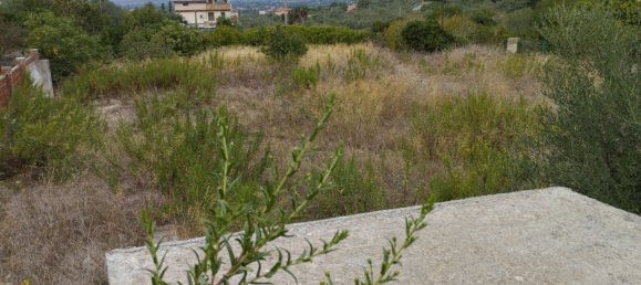  قطعة أرض في Sassari, Italy 1700متر مربع رقم 146742 2