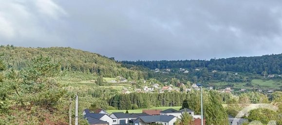 5 chambres Maison à Remiremont, France No. 228749 4