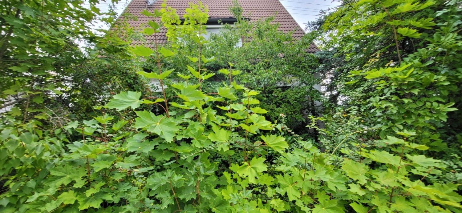 Casa de 3 dormitorios en Boblingen, Germany No. 325123