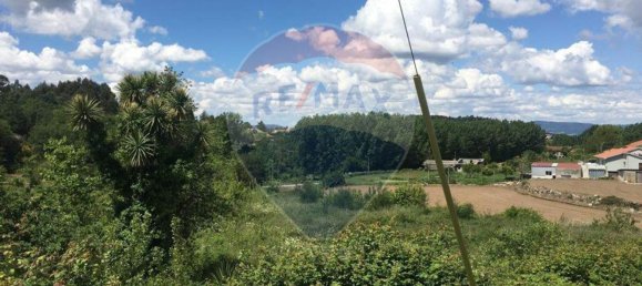 5050m² Land in Guimaraes, Portugal No. 44455 6