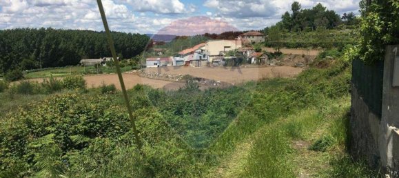 5050m² Land in Guimaraes, Portugal No. 44455 3