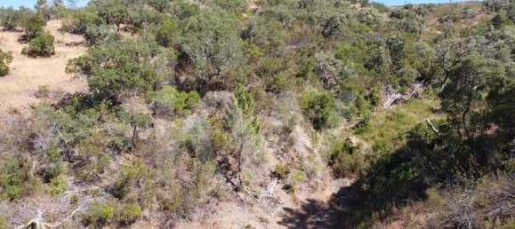 2 غرف نوم منزل في Lagoa, Portugal رقم 81285 21