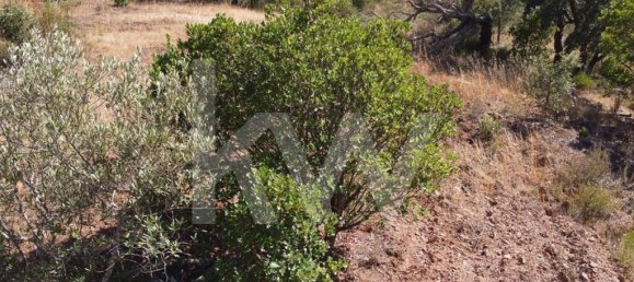 2 غرف نوم منزل في Lagoa, Portugal رقم 81285 5