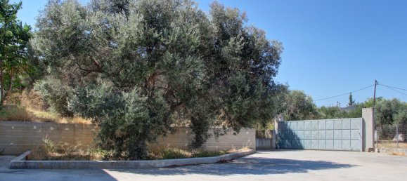 3 chambres Propriété commerciale à Chania, Greece No. 8971 19