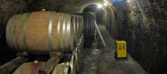 عقار تجاري في Langenlois, Austria 350متر مربع رقم 86789 7