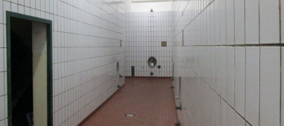 عقار تجاري في Langenlois, Austria 350متر مربع رقم 86789 10