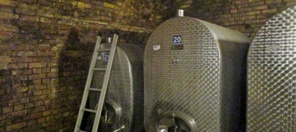 عقار تجاري في Langenlois, Austria 350متر مربع رقم 86789 9