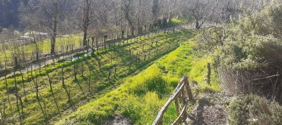 6 Schlafzimmer Haus in Coreglia Antelminelli, Italy, Nr. 313247 26