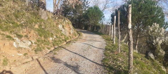 6 Schlafzimmer Haus in Coreglia Antelminelli, Italy, Nr. 313247 29