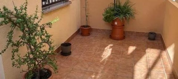 2 غرف نوم شقة في Adeje, Spain رقم 177387 13